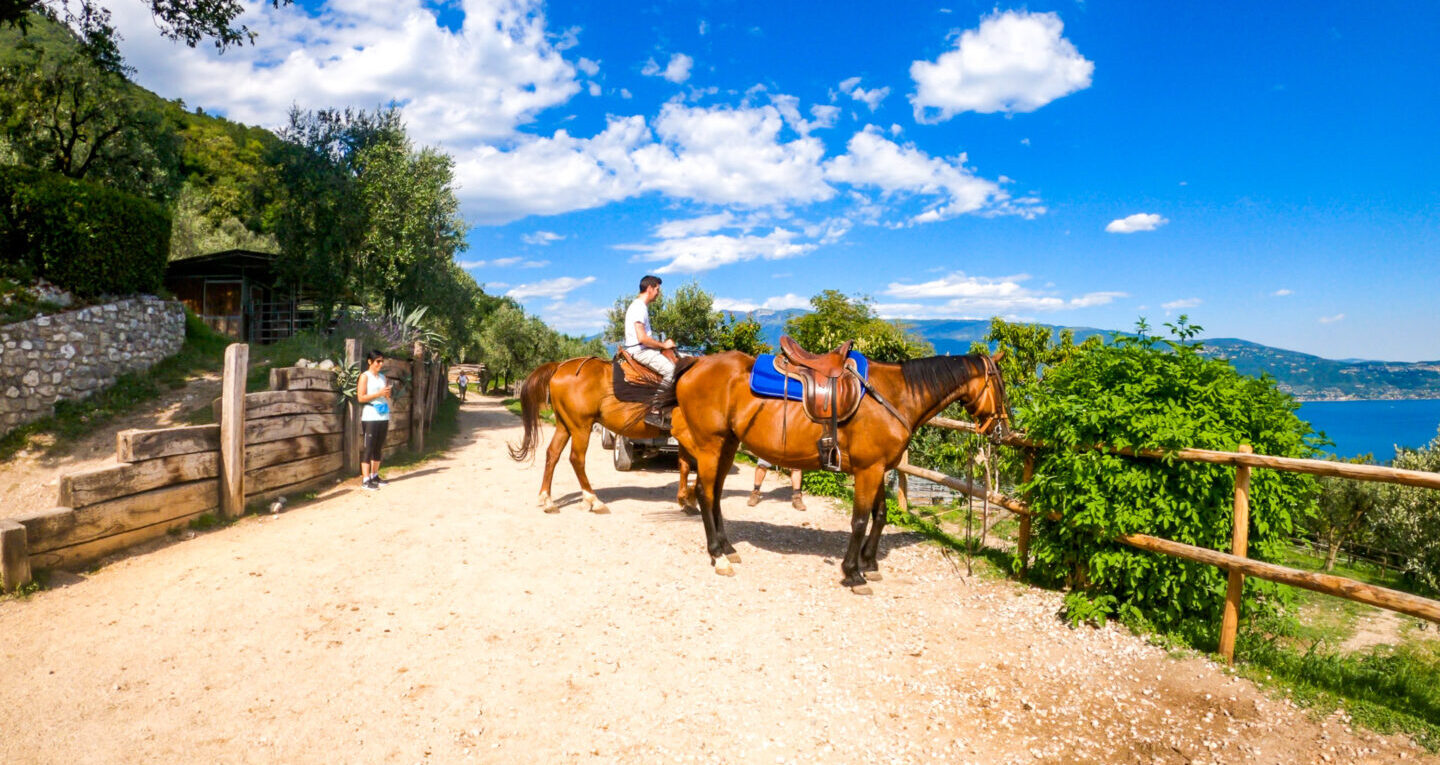 Passeggiata a cavallo con pranzo in agriturismo - Lago di Garda - Garda E-motion