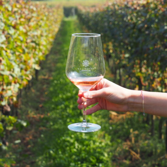 Chiaretto Valtenesi Rose wine