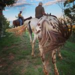 horseback tour Lake Garda