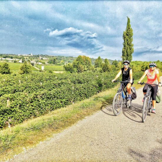 Bike Tour nei dintorni del Lago di Garda - Garda E-motion