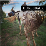 Horseback riding - categories - tours shop - Garda E-motion