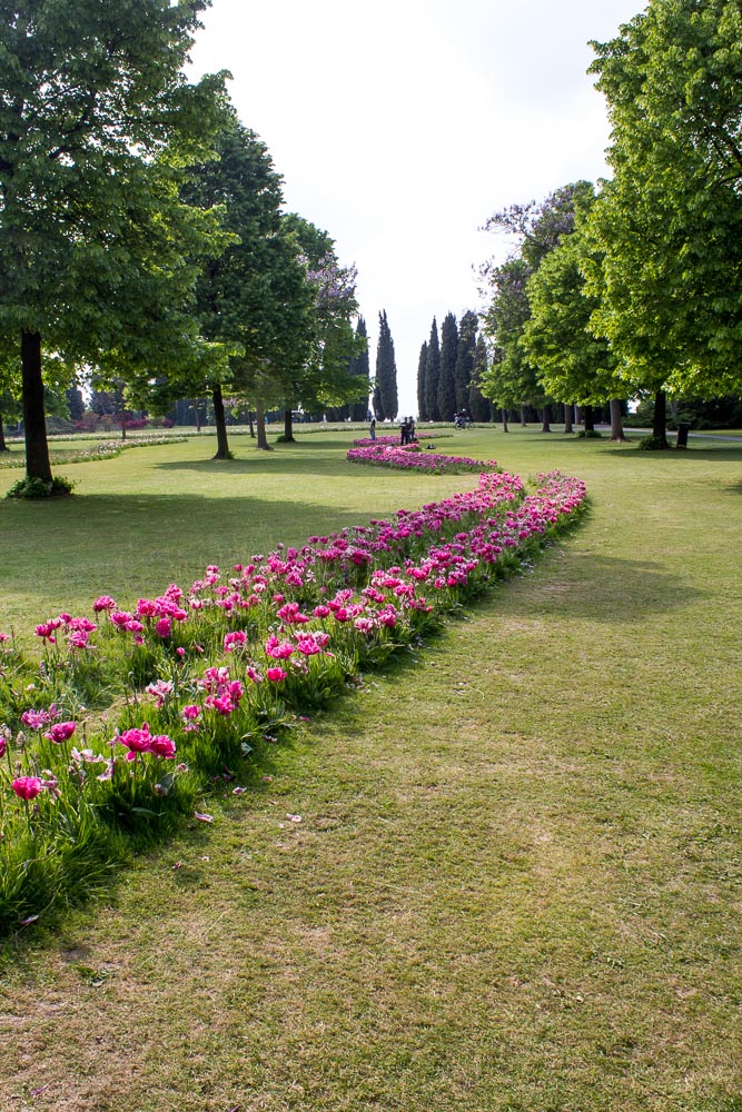 Parco Giardino Sigurtà - tulipani