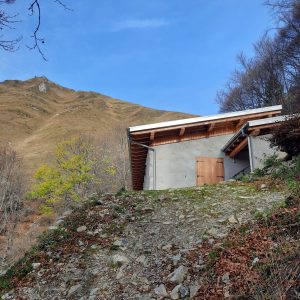 Foto 1 - Cima D’oro - OggiGita